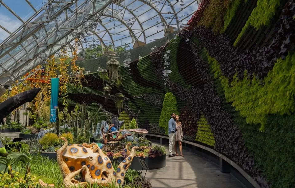 Photo of Royal Botanic Garden Sydney, Sydney by Tanvi Shah (travelstoriesbytan)