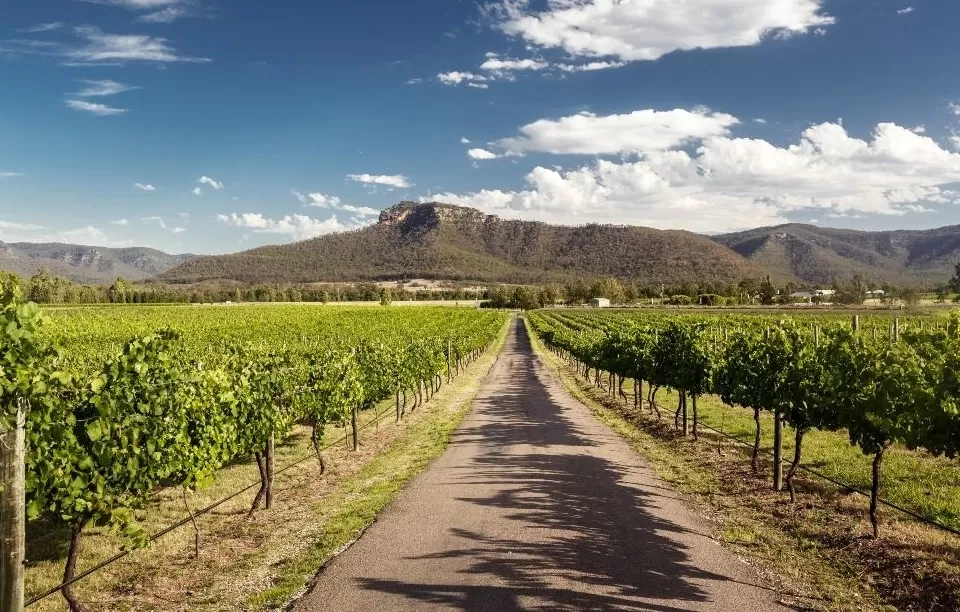 Photo of Hunter Region, New South Wales by Tanvi Shah (travelstoriesbytan)