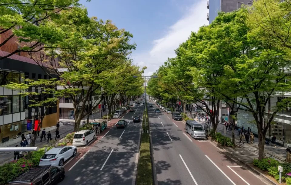 Photo of Omotesando Street, Kumamoto by Tanvi Shah (travelstoriesbytan)