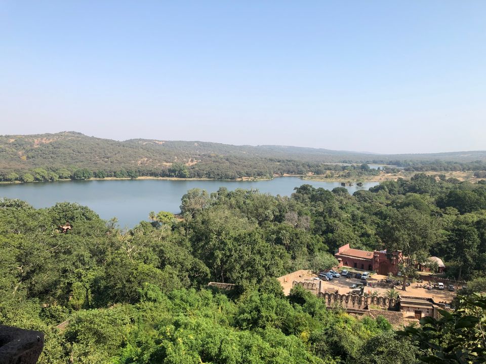 Photo of Ravishing Ranthambore (and beyond) by Nishant Sharma