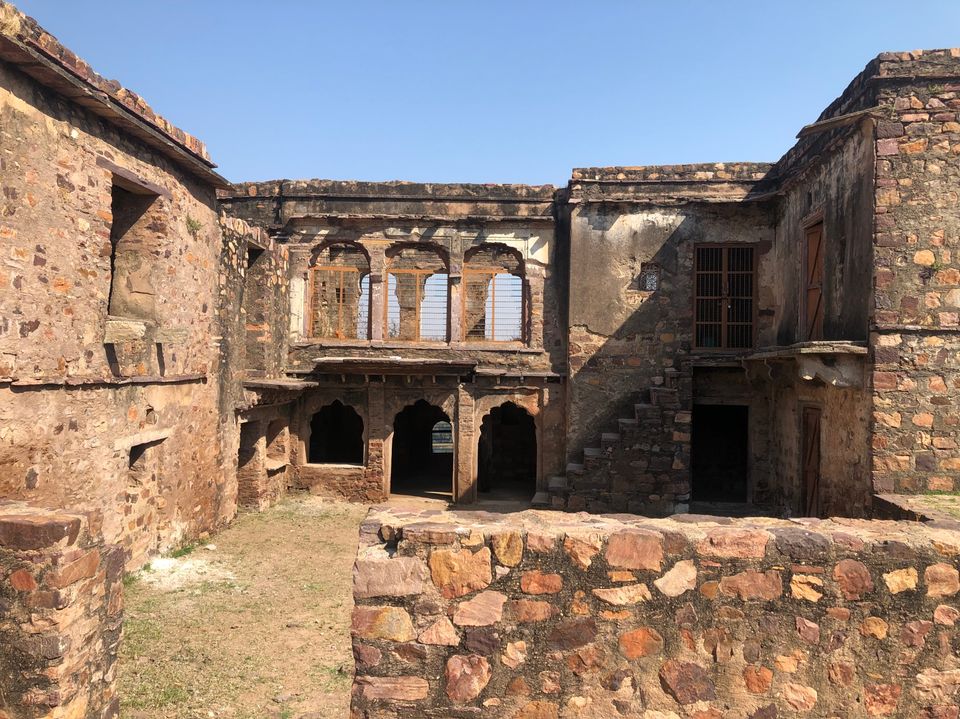 Photo of Ravishing Ranthambore (and beyond) by Nishant Sharma