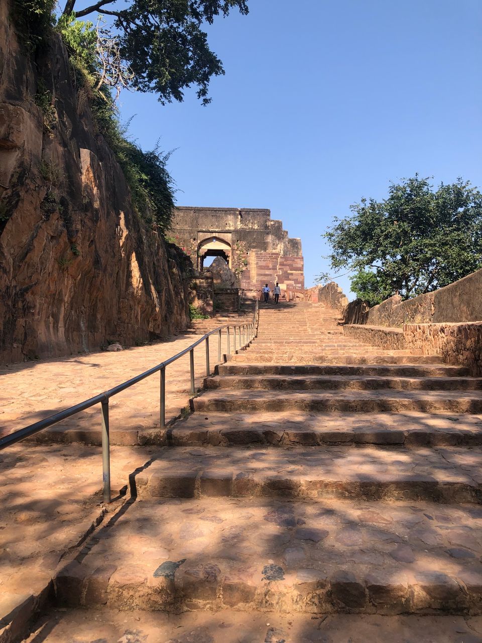 Photo of Ravishing Ranthambore (and beyond) by Nishant Sharma