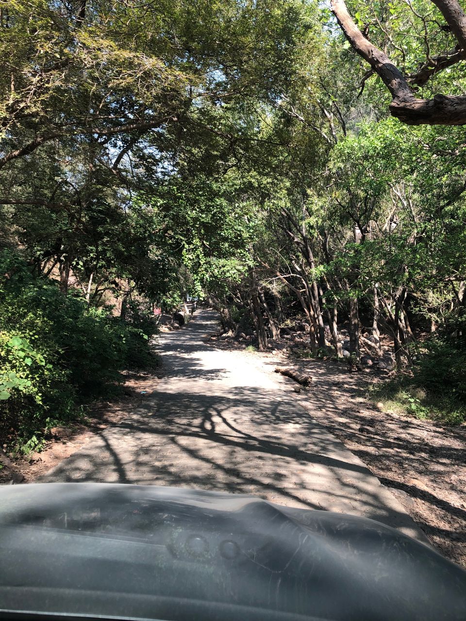 Photo of Ravishing Ranthambore (and beyond) by Nishant Sharma