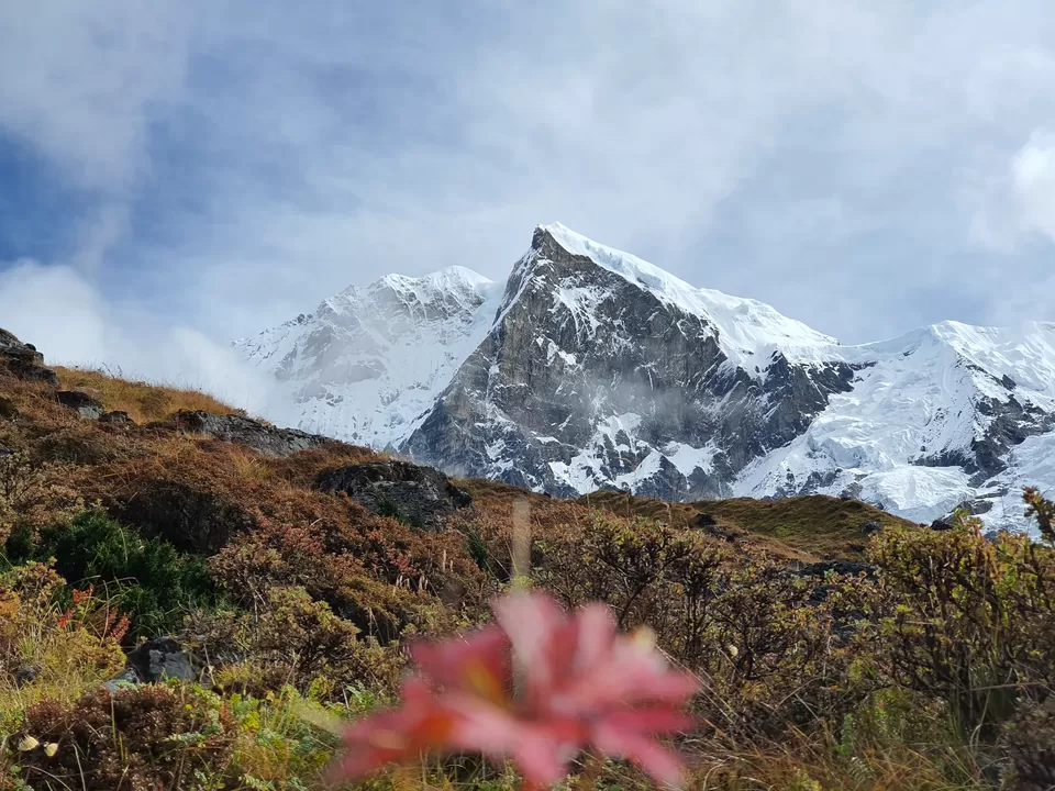 Photo of Goecha La, West Sikkim by Shruti Singh
