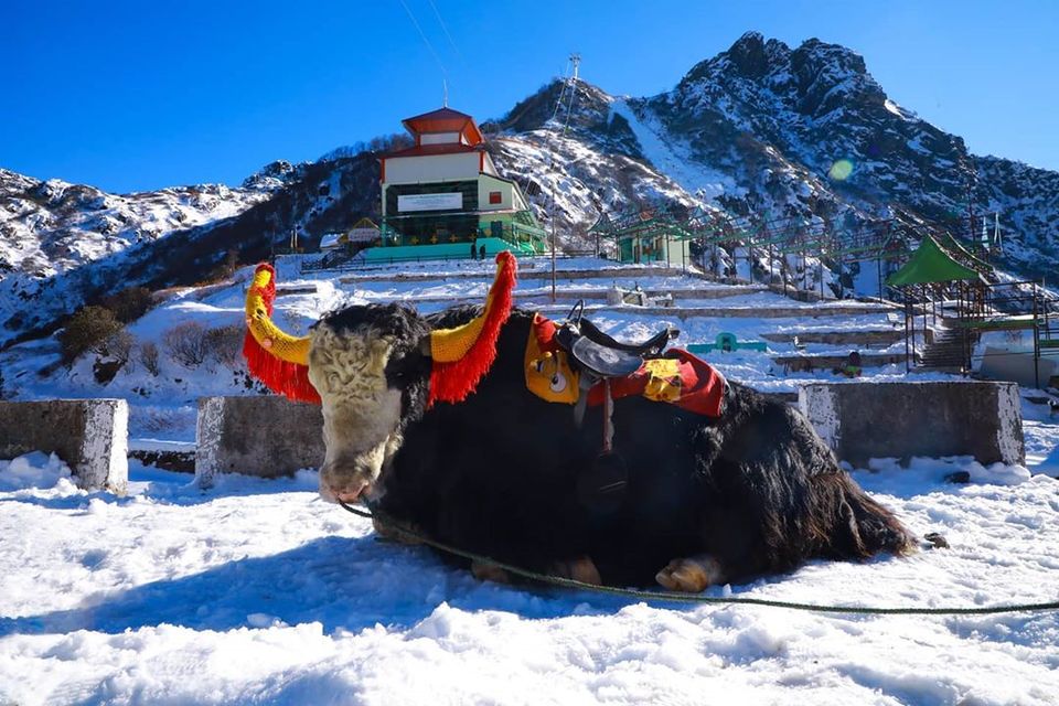 Photo of All You Need to Know About Backpacking in Sikkim by Arhi