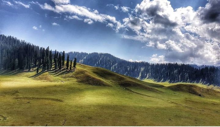 Photo of Bangus Valley : A Detailed Travel Guide to Explore This Paradise! by Arhi