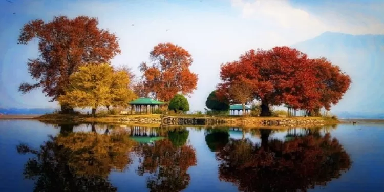 Photo of Char Chinar Dal lake, Srinagar by Arhi