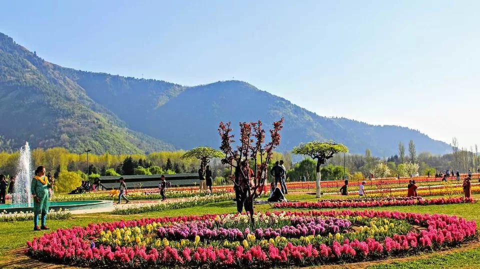 Photo of Jawaharlal Nehru Memorial Botanical Garden باٹنیکل گاردن, Srinagar by Arhi
