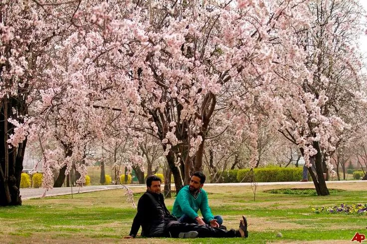 Photo of Badam Wari Park بادَم وٲر, Srinagar by Arhi