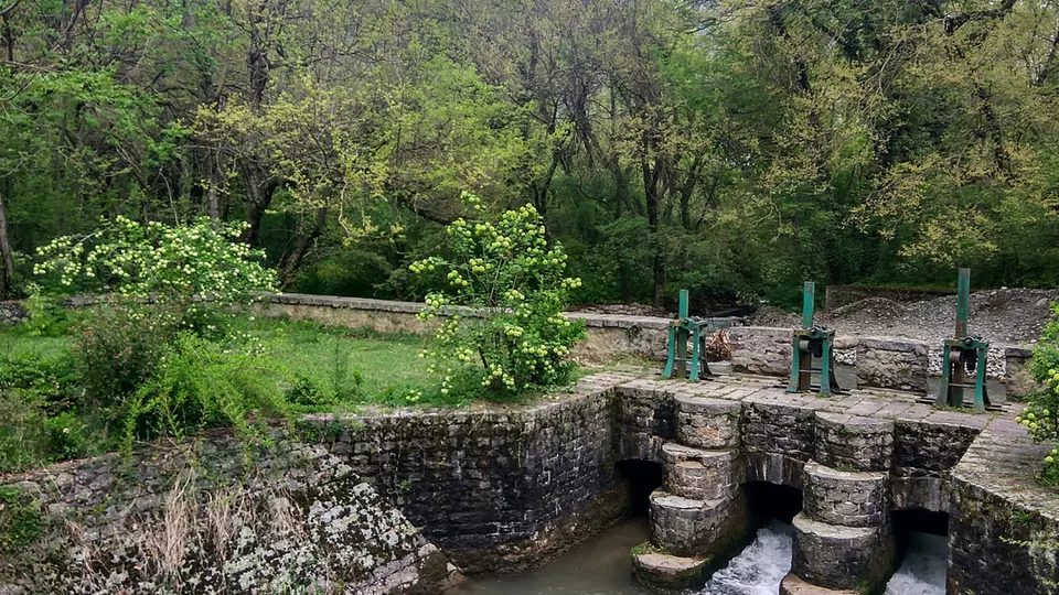 Photo of Dachigam National Park by Arhi