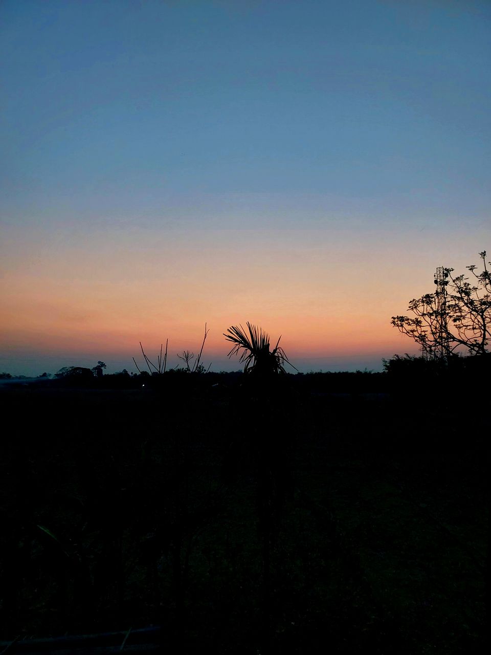Photo of A Solo Backpackers Trip to Assam (2022) by Ashwin Namboodiri