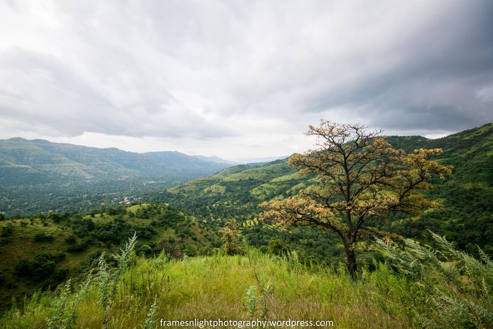 Photo of Western Ghats in Monsoon ! by Biker Bikerni Wanderlust