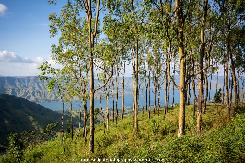 Photo of Western Ghats in Monsoon ! by Biker Bikerni Wanderlust