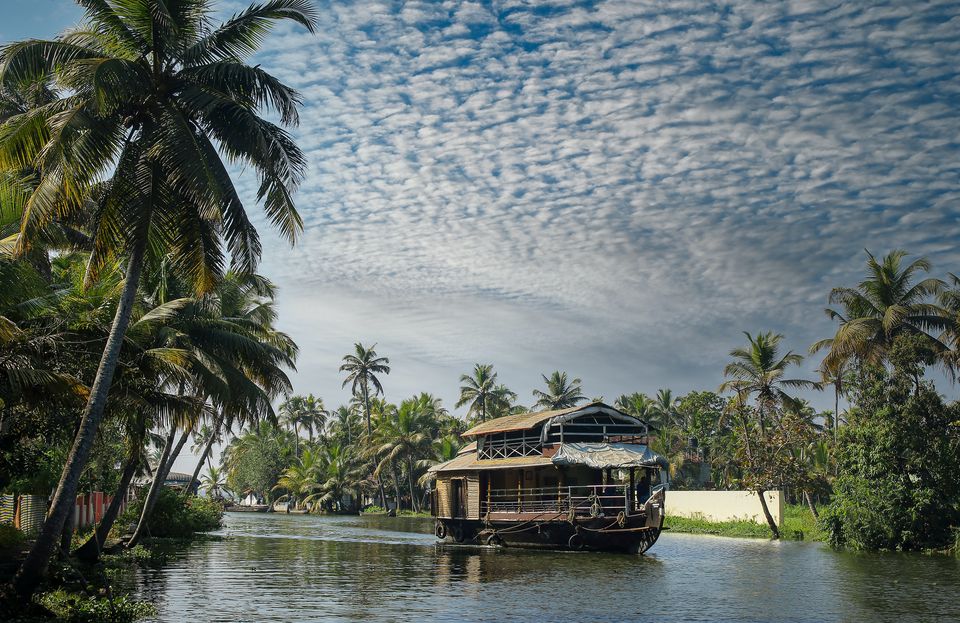 Photo of The Backwater Rhapsody, Alleppey, Alappuzha by RADHE PATEL (radhuu)