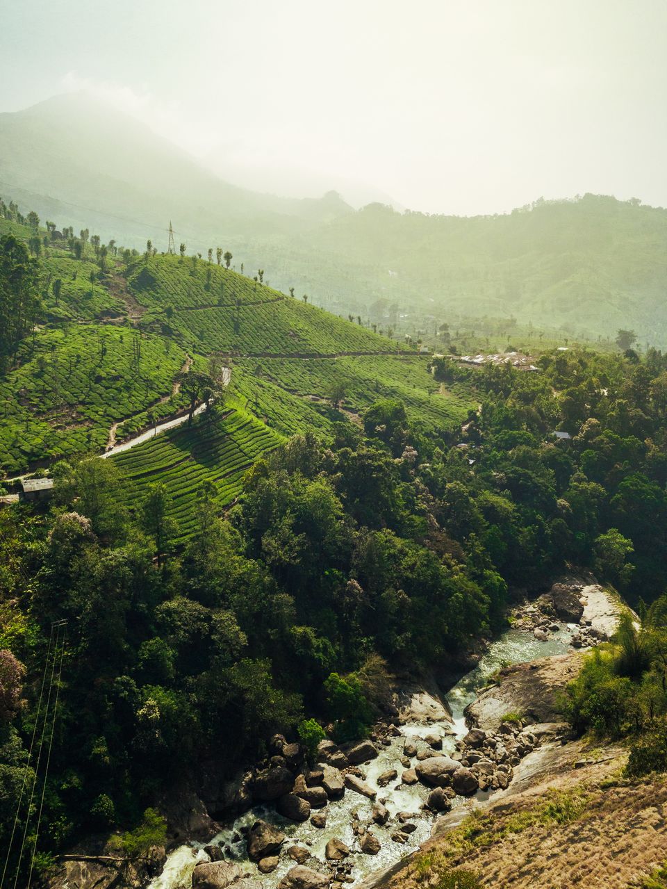 Photo of Munnar Tent Camps, Munnar by RADHE PATEL (radhuu)