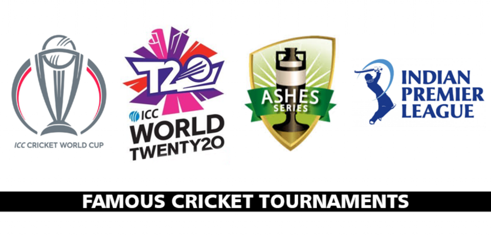 Photo of Best Domestic Cricket tournaments in the World. by Sportbetpro