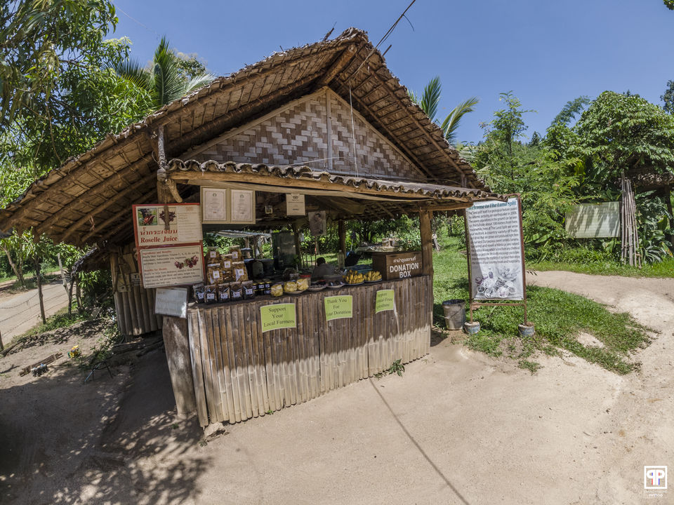Photo of The Land Split & Bamboo Bridge of Pai, Thailand by Parag Phadnis