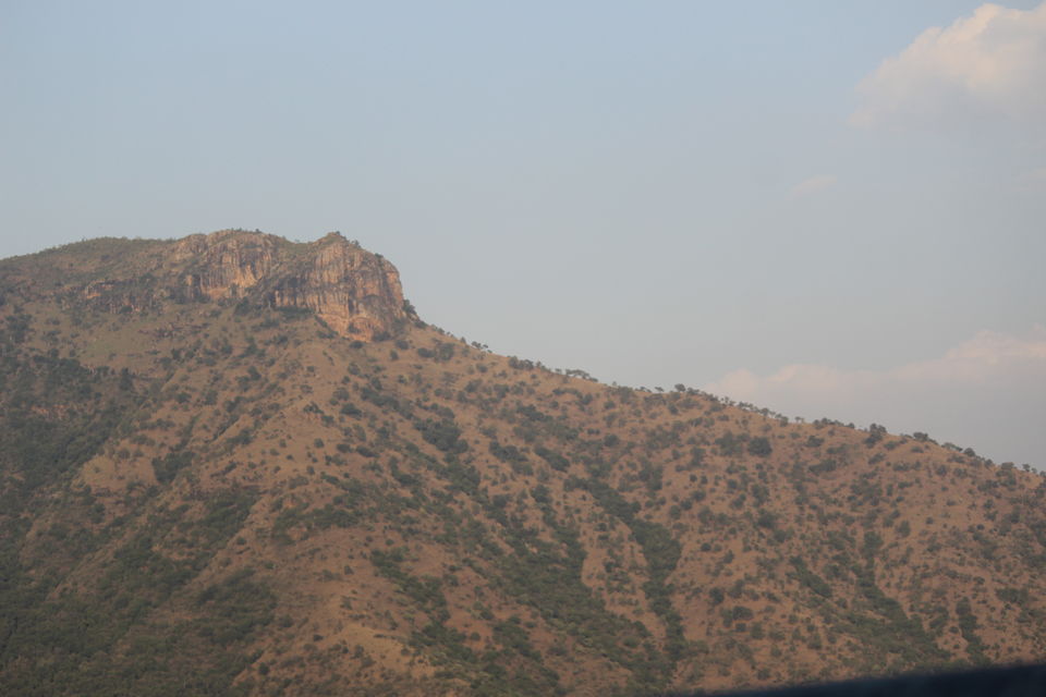 Photo of 9 Reasons to fall in love with South India by Dr Sheetal