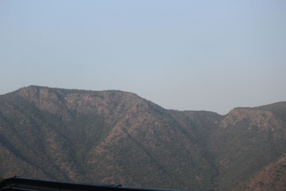 Photo of 9 Reasons to fall in love with South India by Dr Sheetal