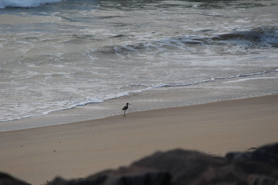 Photo of 9 Reasons to fall in love with South India by Dr Sheetal