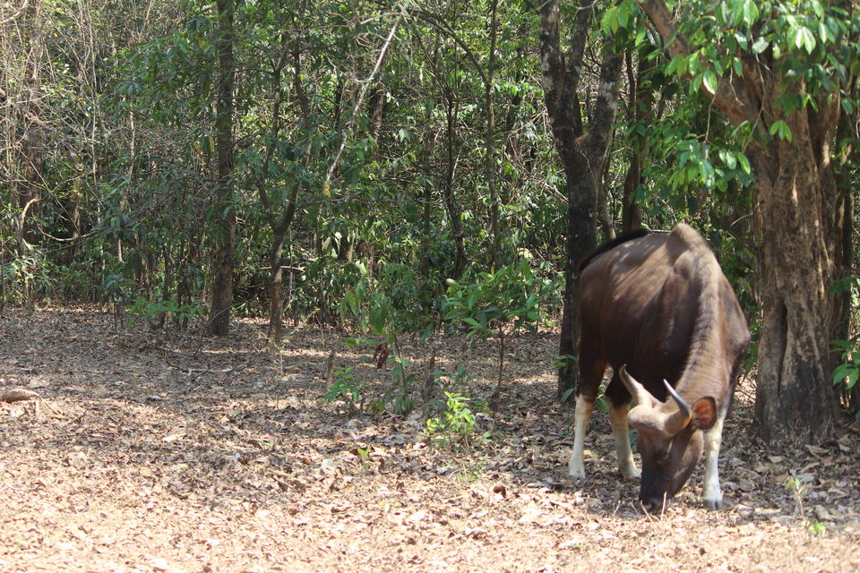 Photo of 9 Reasons to fall in love with South India by Dr Sheetal