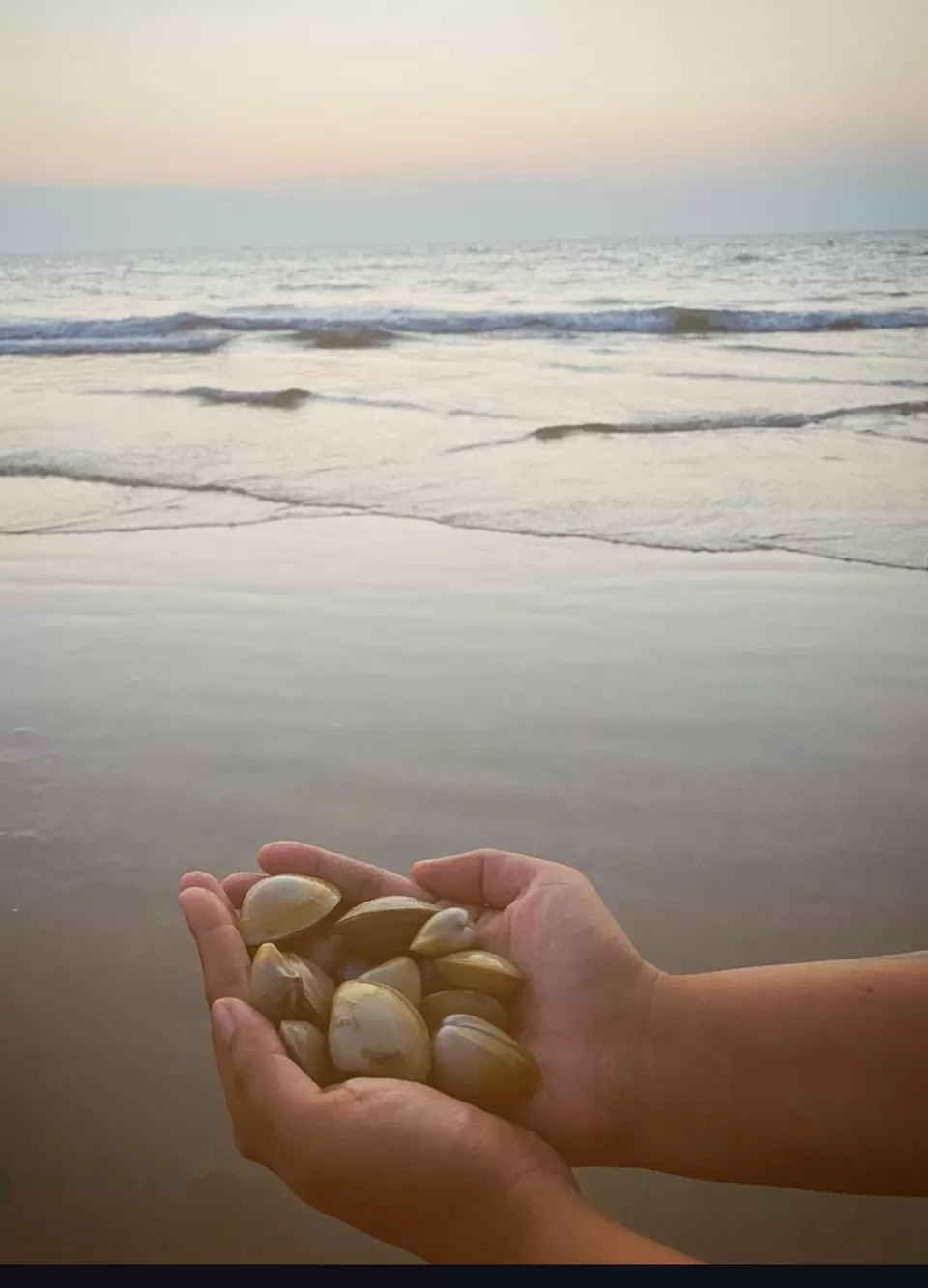 Photo of SEASONALLY-APPROPRIATE ACTIVITIES IN GOA by Dr Sheetal