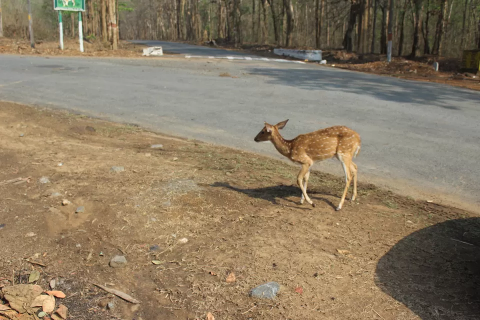 Photo of Embark on a Self-Discovery Road Trip in Coastal Karnataka – Sun, Smiles, and Scenic Stops by Dr Sheetal