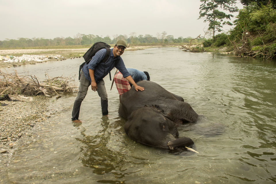 Photo of Dhupjhora elephant Camp - Dooars by Sourav Mukherjee