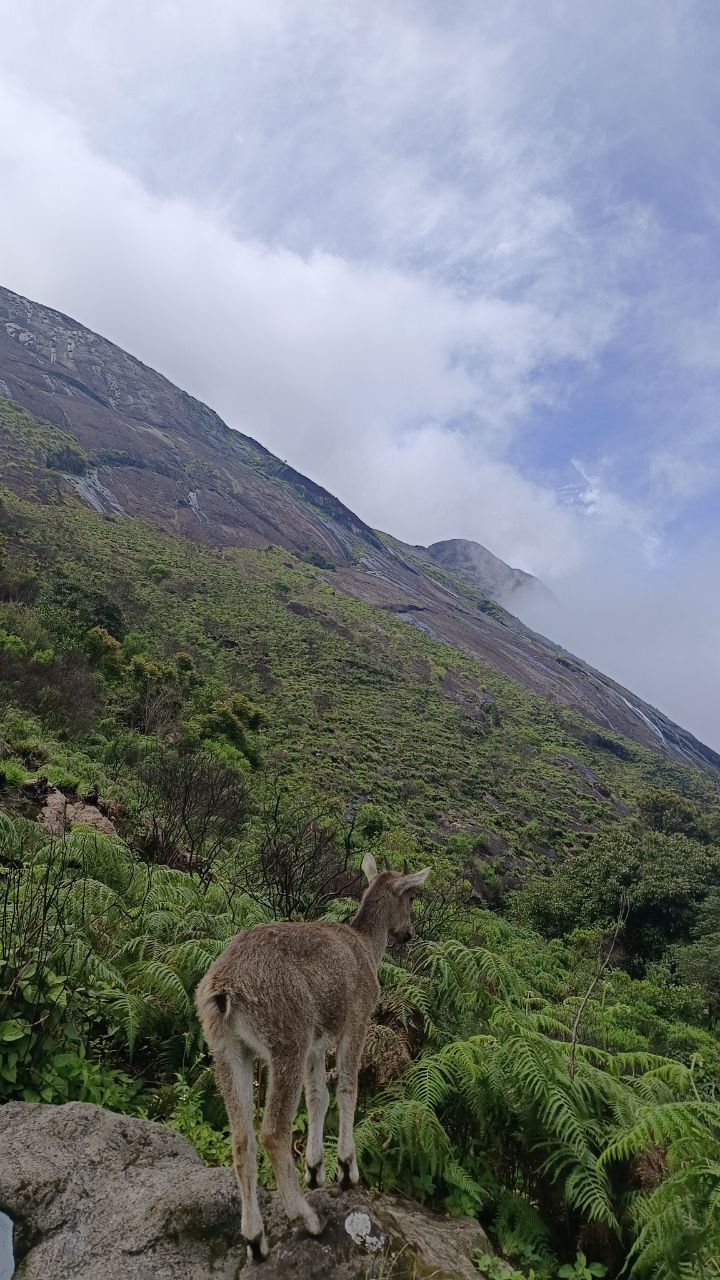 Photo of My longest solo trip in Kerala by Megana Ganapathiraju