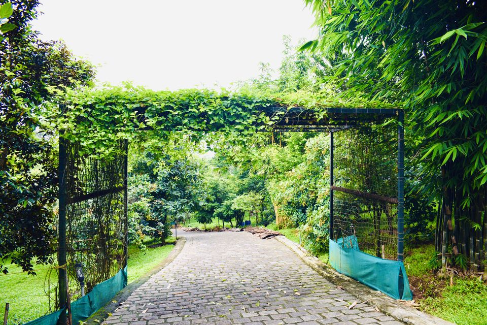 Photo of Family friendly getaway from Kochi- Springhills Spa #kerala #vacation #kochi #quickgetaways by Sailorsonshore