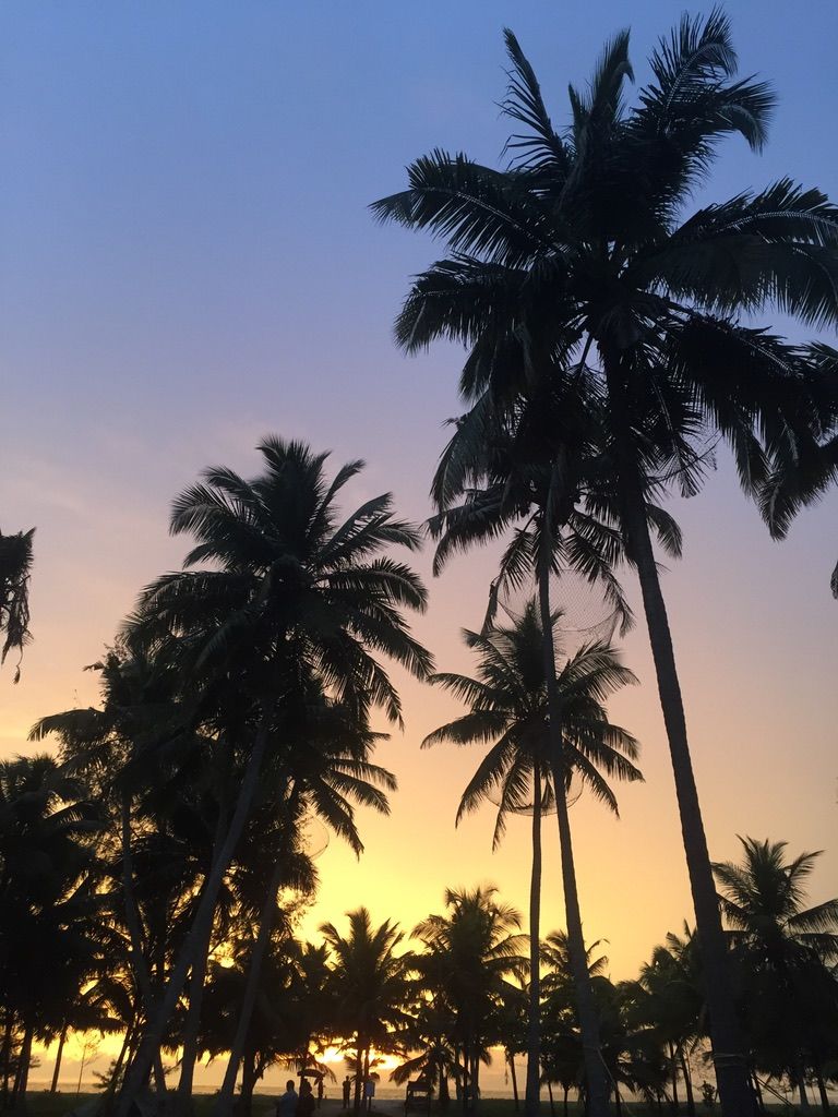 Photo of Places to visit near Kochi #kerala #weekend #roadtrip by Sailorsonshore