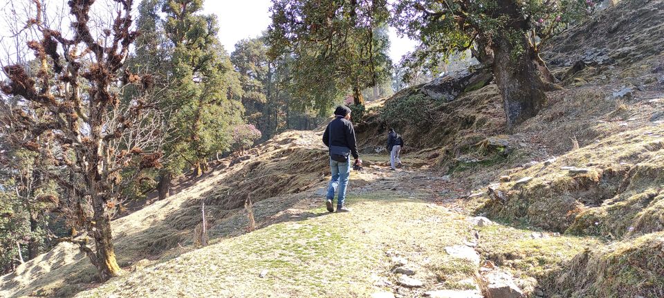 Photo of Way to the Highest Shiva Temple : Tungnath (12,073ft) by Kushagra Varma