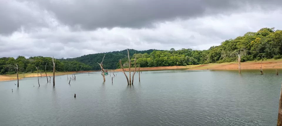 Photo of Thekkady in the Rains: A Short Trip, A Long Memory by Stamped Moments