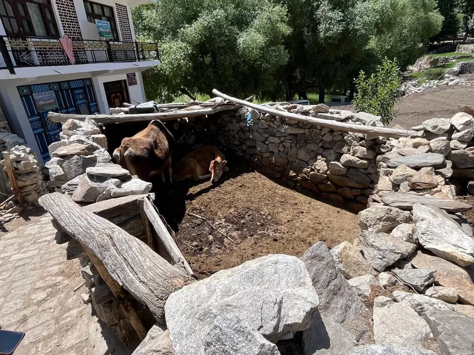 Photo of From Monastery to Lake – Exploring Peace in Nako Village by Stamped Moments