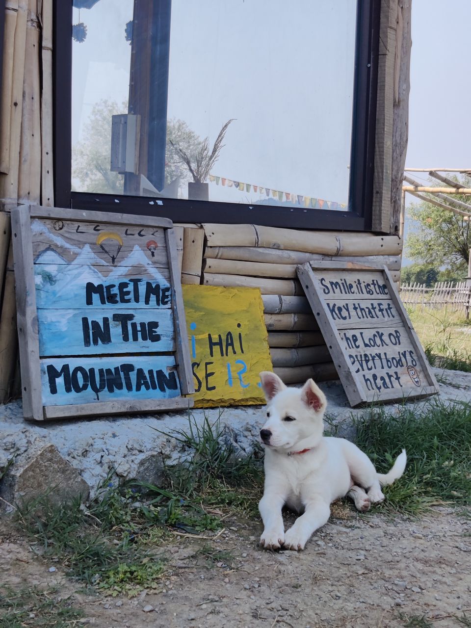 Photo of Shhh it's a Secret! by Nidhi Soni