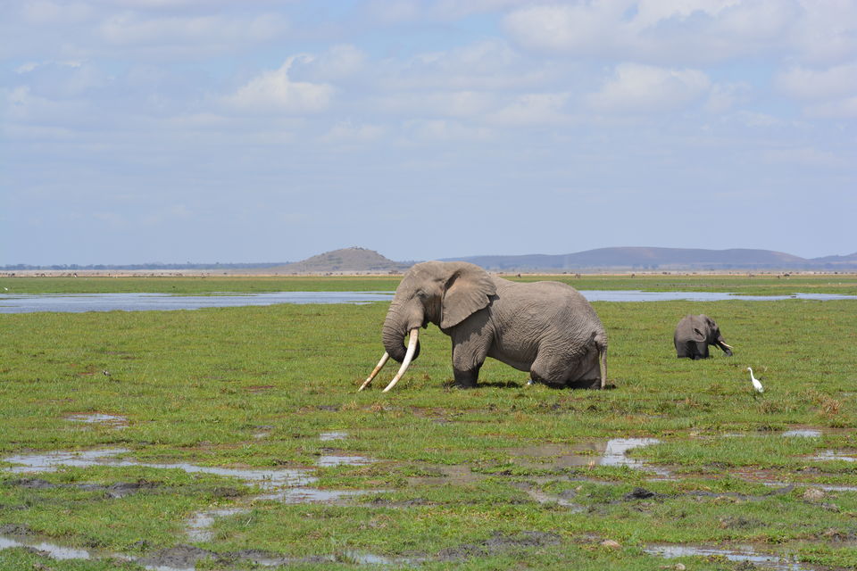 Photo of 7-days Masai Mara & Kenya wildlife safari itinerary by Saurabh
