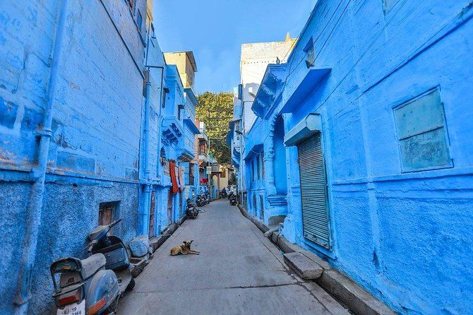 Photo of Best Tourist Places To Visit In Rajasthan: Get The Proper Glimpse of The Lovely State by Pallavi Chugh