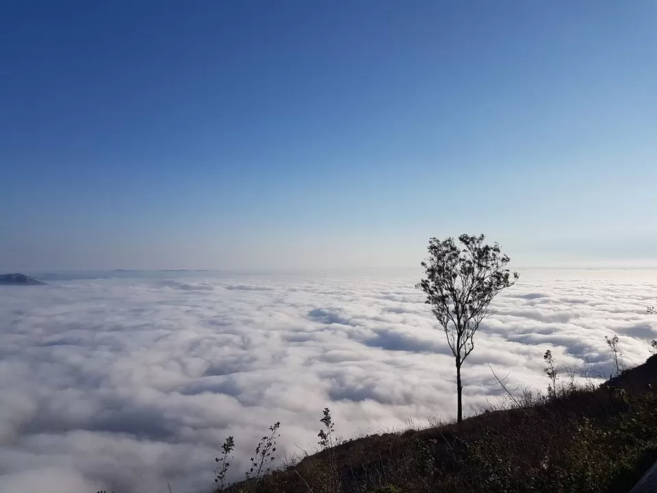 Photo of Bangalore is Boiling! Best Getaways to Escape the Heat by Sanya chauhan 