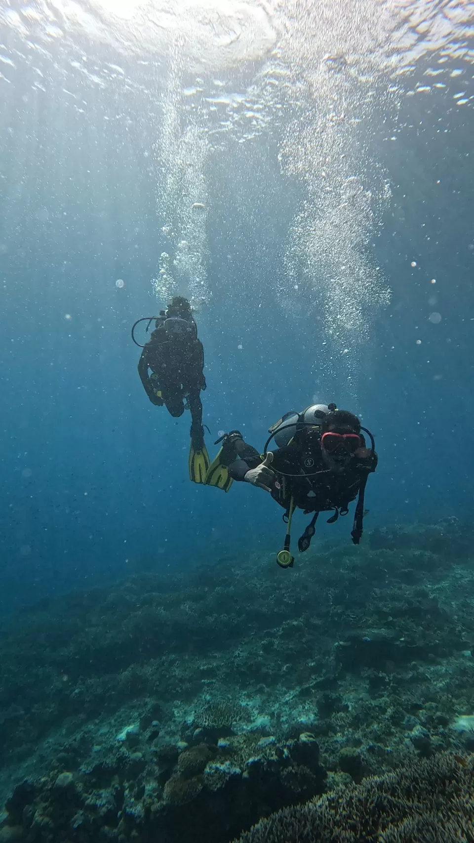 Photo of Into the Blue: Scuba Dreams and Island Escapes in Komodo & Bali by Vaibhav Annam