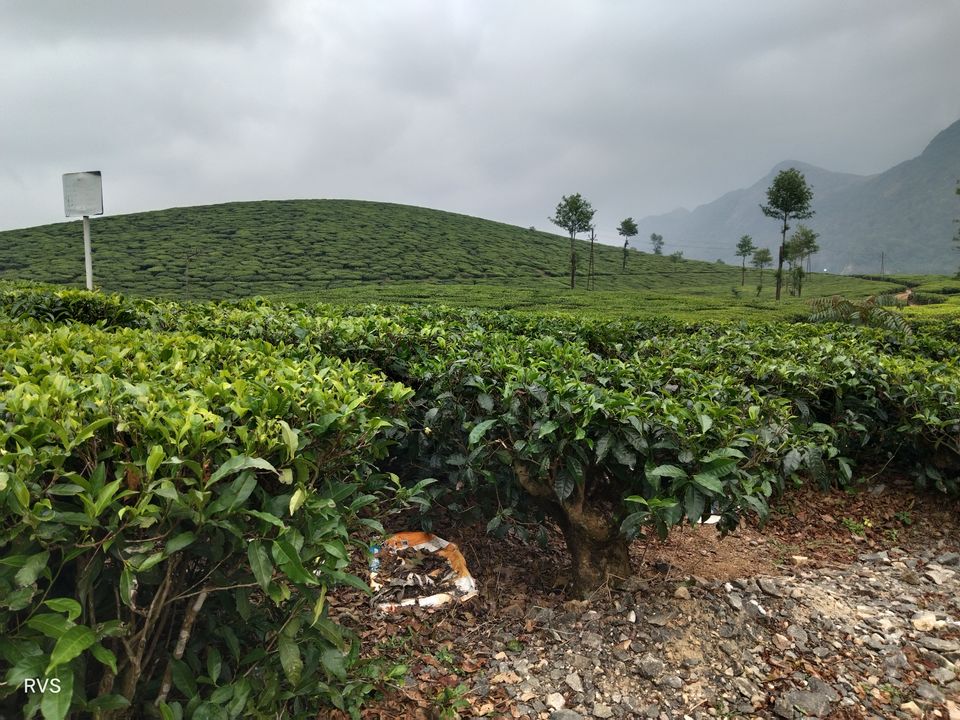 Photo of Bike ride from Tiruvallur/Chennai to Vagamon (Via Trichy, Dindigul, Theni, Cumbum, Thekkady) by Rathinavel Wanderlust