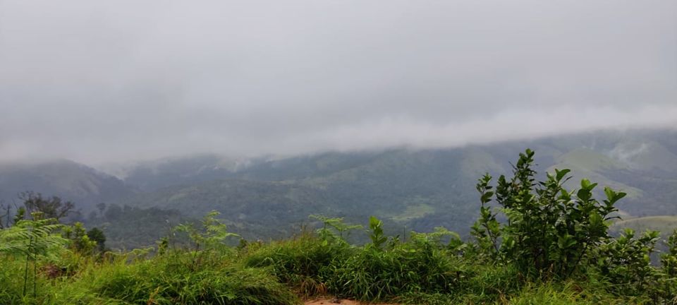 Photo of Bangalore to Coorg by Vineet Singh