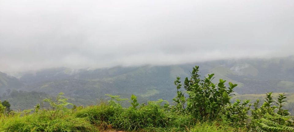 Photo of Bangalore to Coorg by Vineet Singh