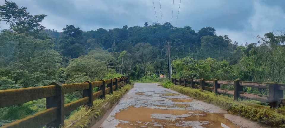 Photo of Bangalore to Coorg by Vineet Singh