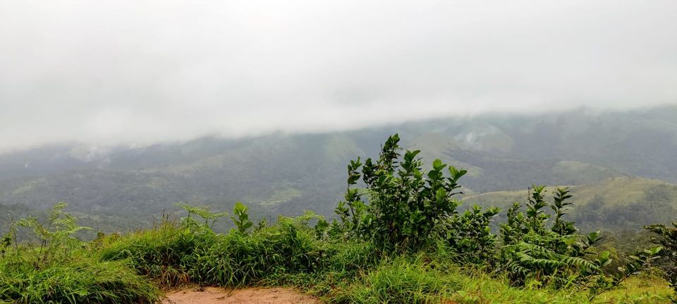 Photo of Bangalore to Coorg by Vineet Singh