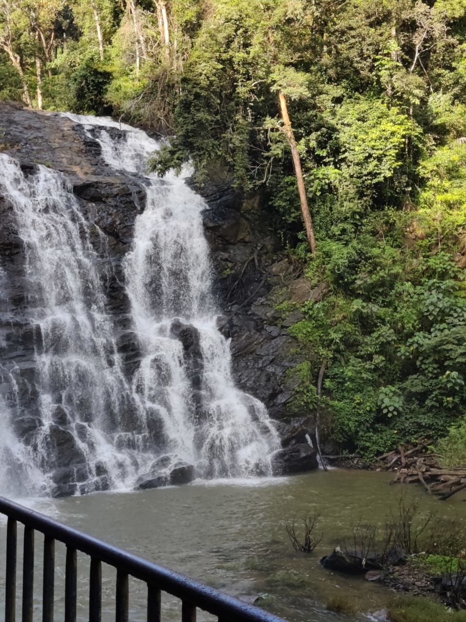 Photo of Bangalore to Coorg by Vineet Singh