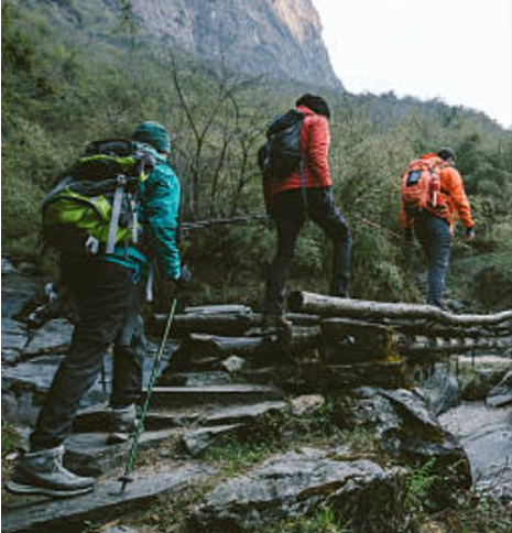 Photo of Night Hunting in Panlong Mountain: A Forest Adventure Full of Thrills and Delicacies by Status lovers
