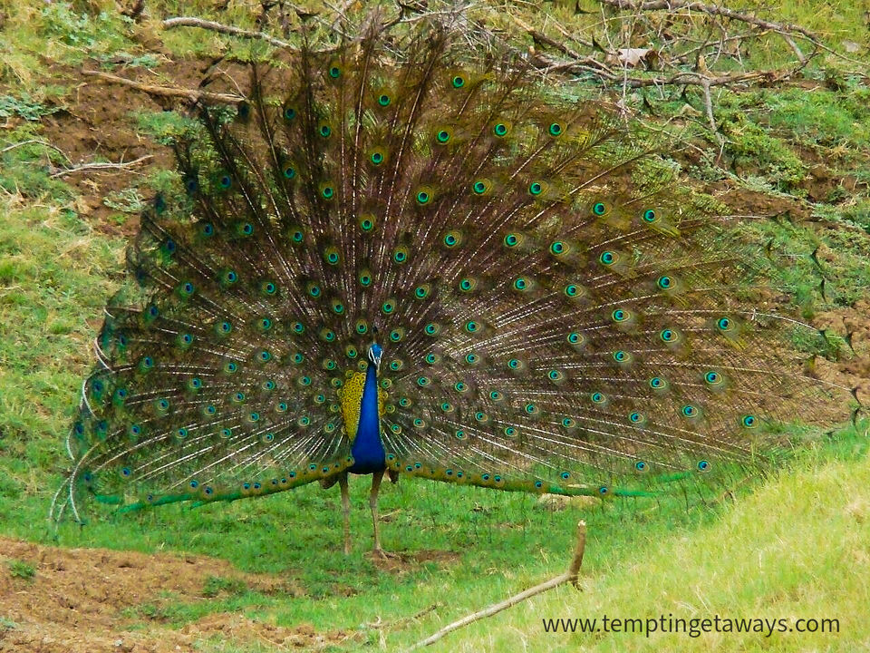 Photo of Best places to visit in Madhya Pradesh by Tempting Getaways