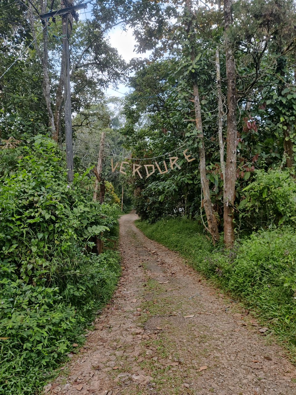Photo of Wayanad: Green Paradise in God's own country "Kerala" by Shantavi Singbal