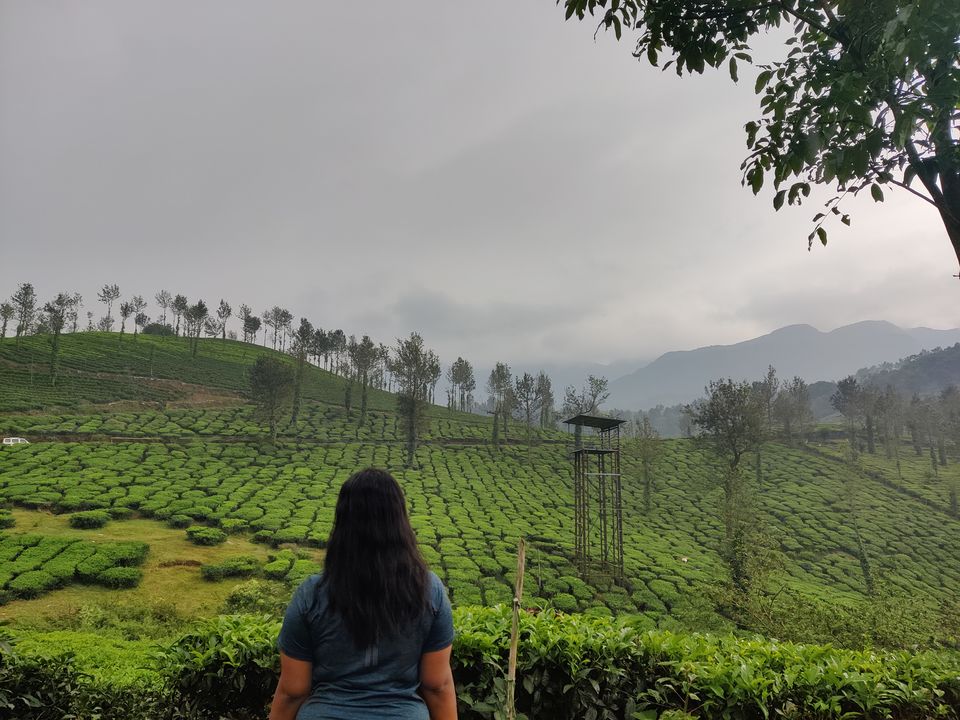 Photo of Wayanad: Green Paradise in God's own country "Kerala" by Shantavi Singbal
