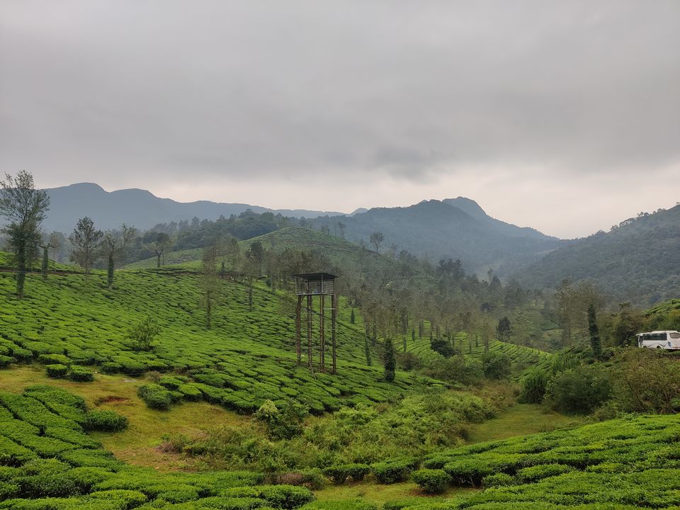 Photo of Wayanad: Green Paradise in God's own country "Kerala" by Shantavi Singbal